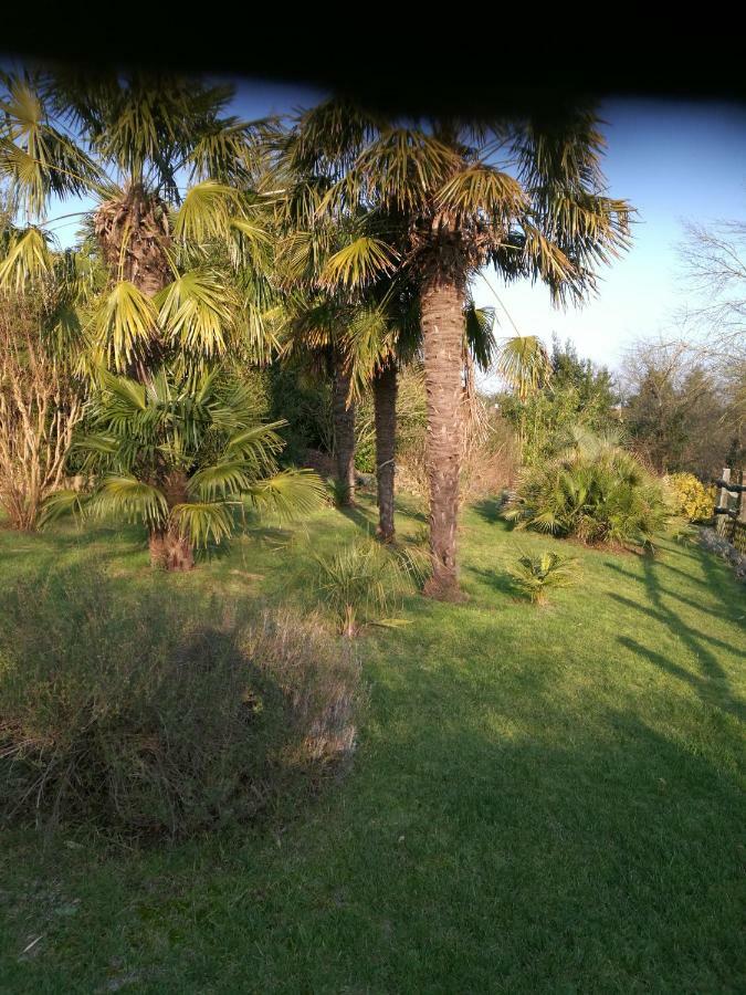 Villa Le Coing La Guiltiere Esterno foto